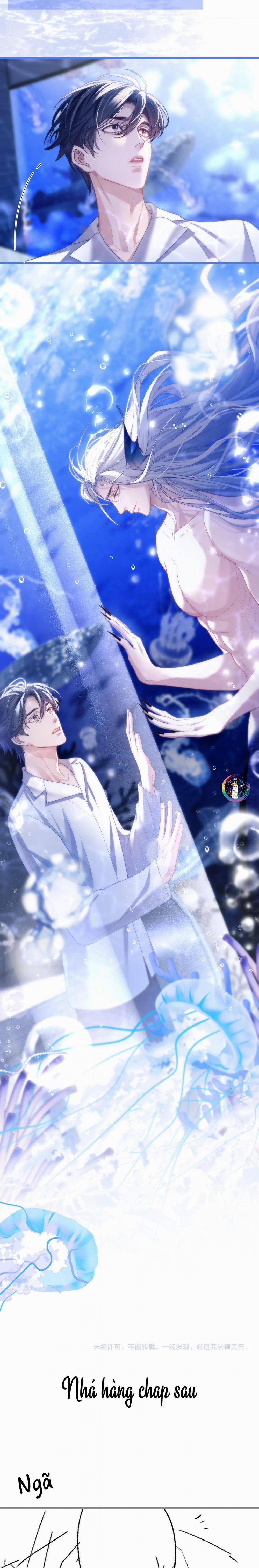 Nhân Ngư Desharow 9 trang 12