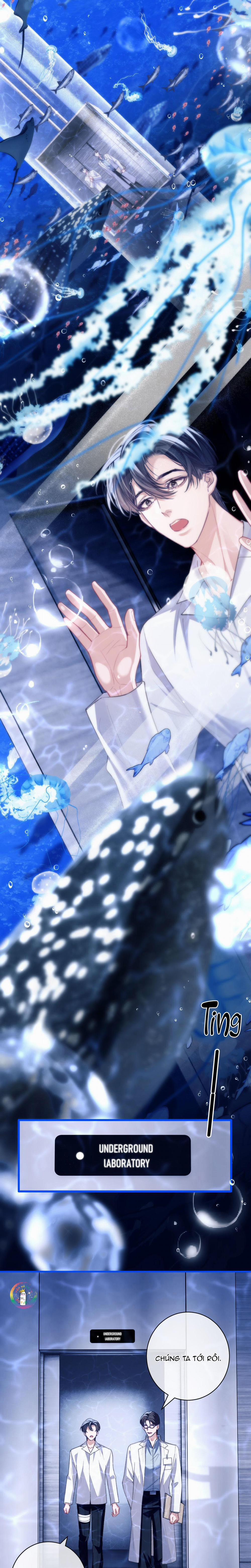 Nhân Ngư Desharow 9 trang 5