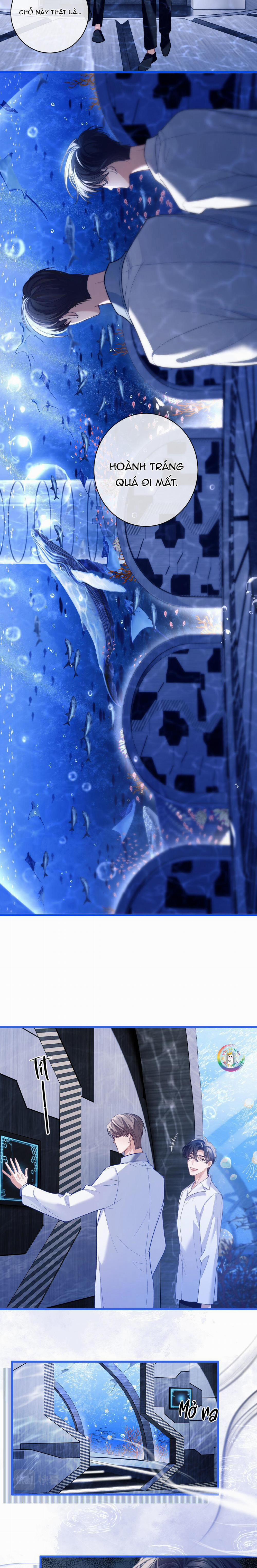 Nhân Ngư Desharow 9 trang 6