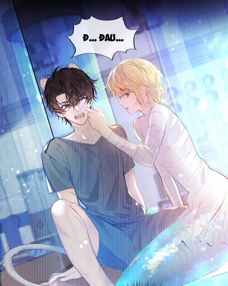 Nhân Ngư Hãm Lạc 1 trang 21