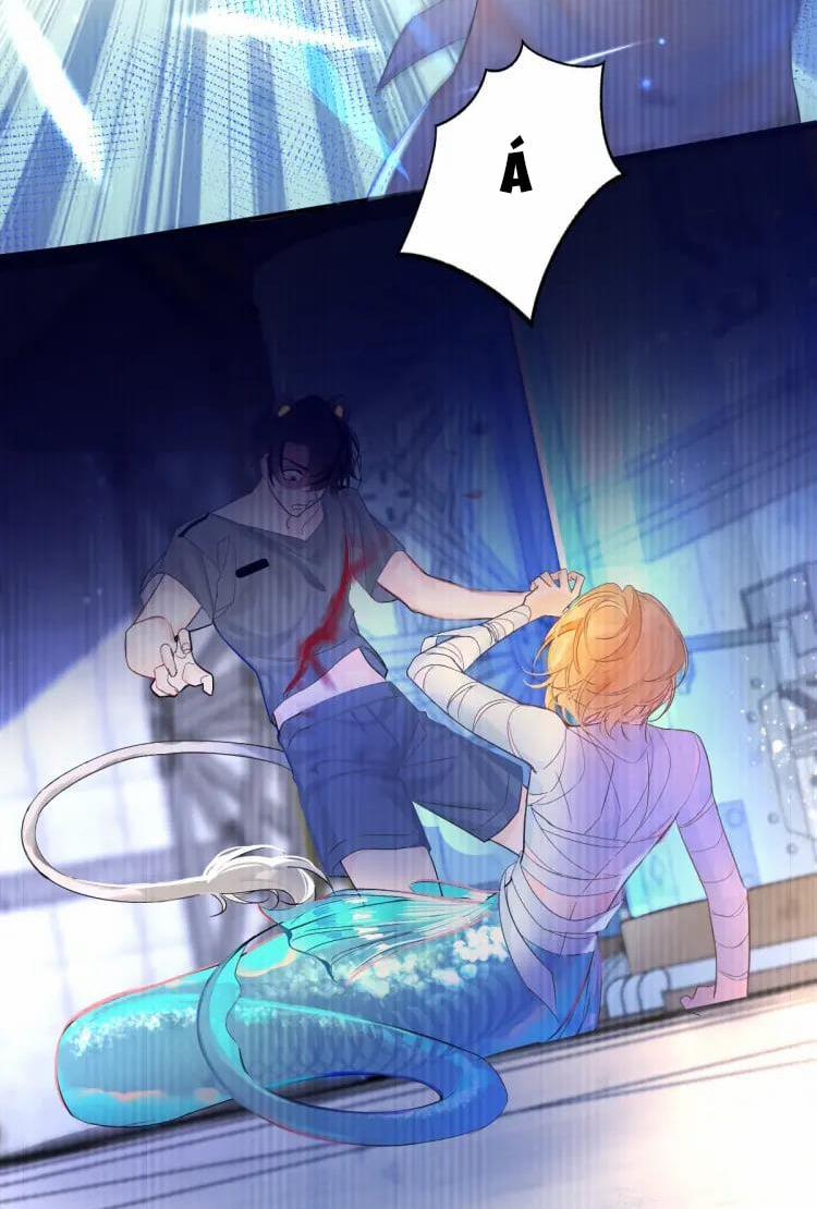 Nhân Ngư Hãm Lạc 1 trang 25