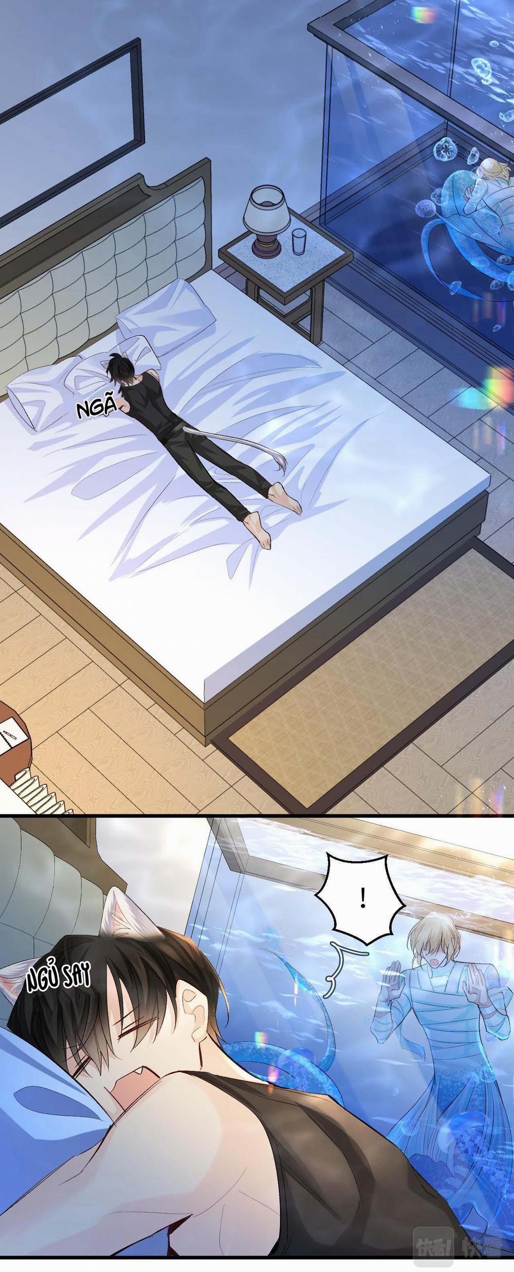 Nhân Ngư Sa Ngã 23 trang 22