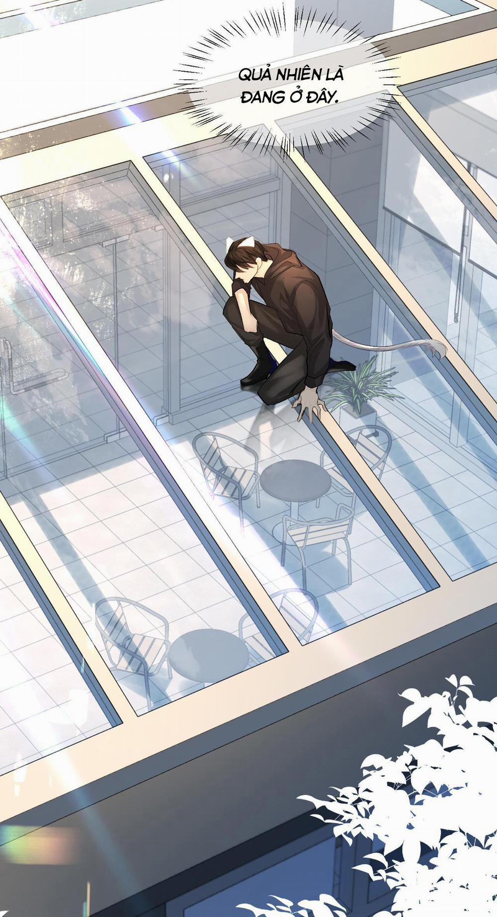 Nhân Ngư Sa Ngã 25 trang 4