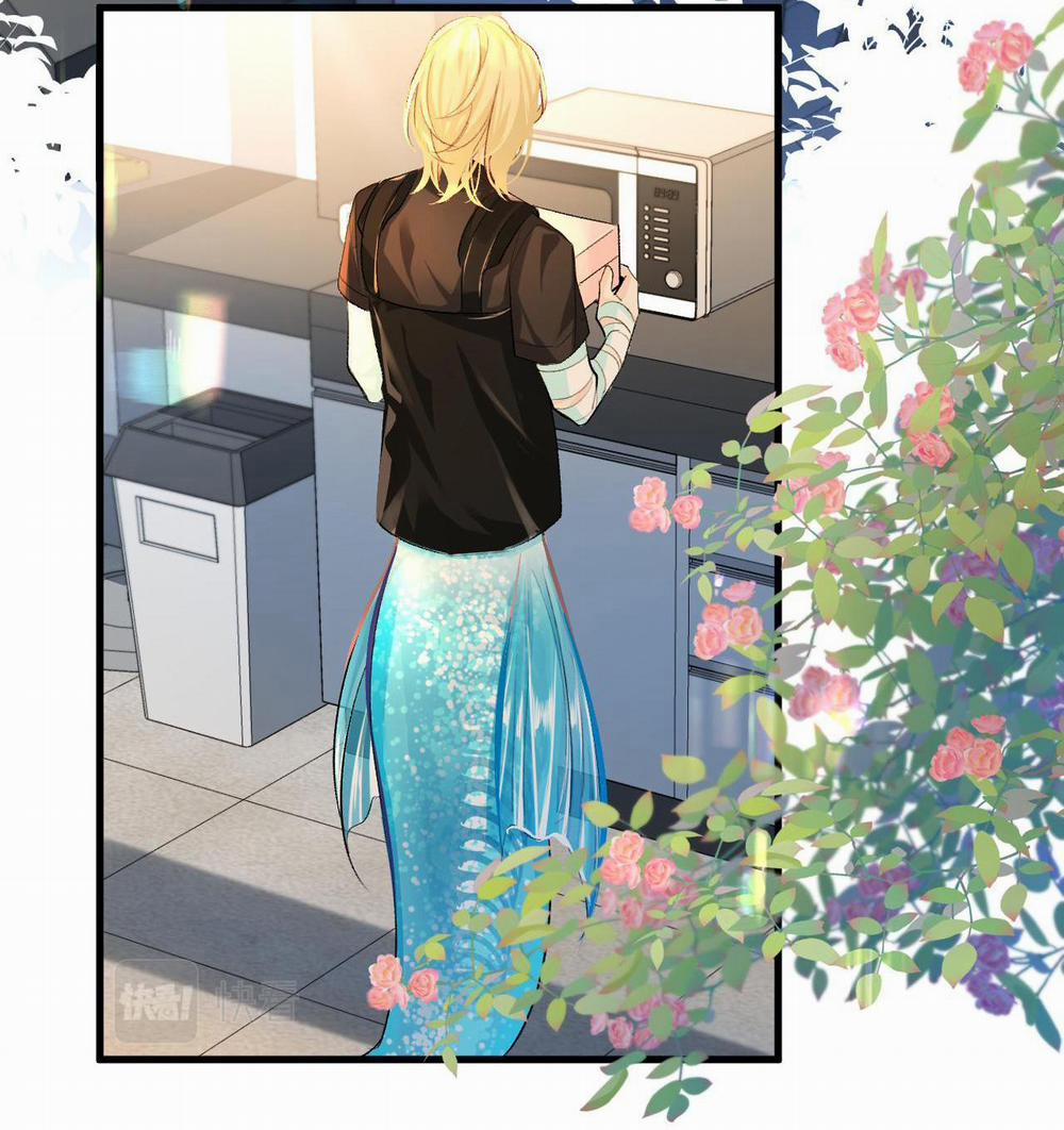 Nhân Ngư Sa Ngã 25 trang 5