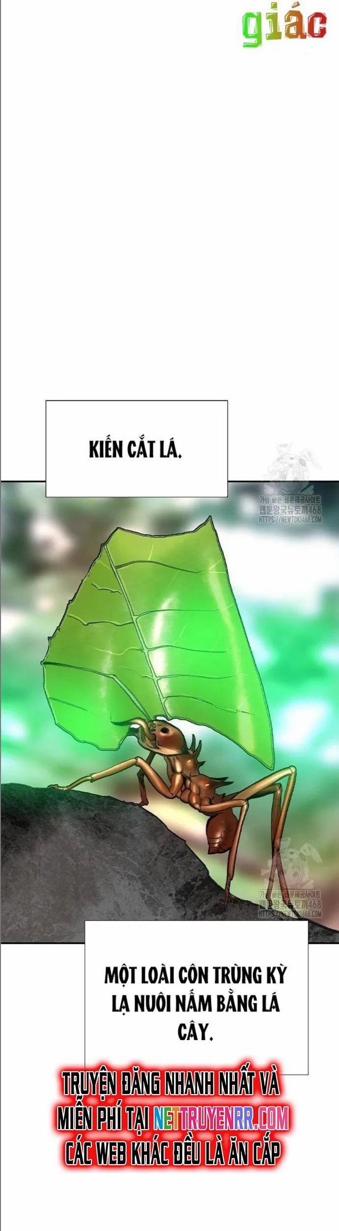 Nhân Trùng Đại Chiến 149.1 trang 12