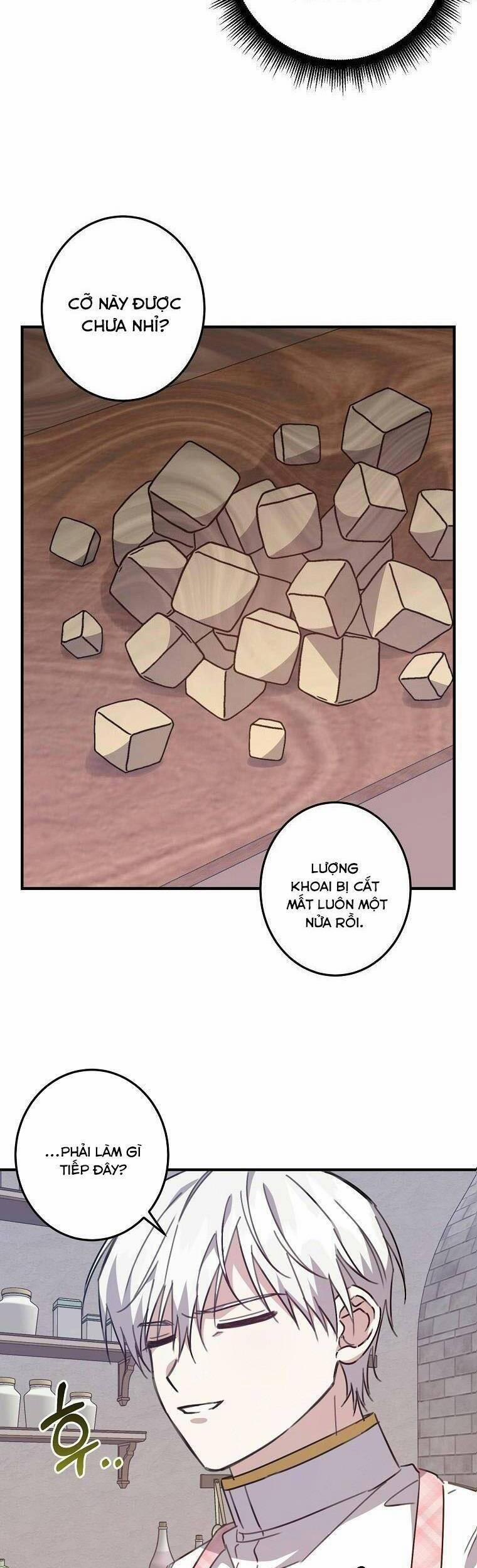 Nhân Vật Phản Diện Được Tôi Nuôi Dưỡng Tốt 23 trang 3