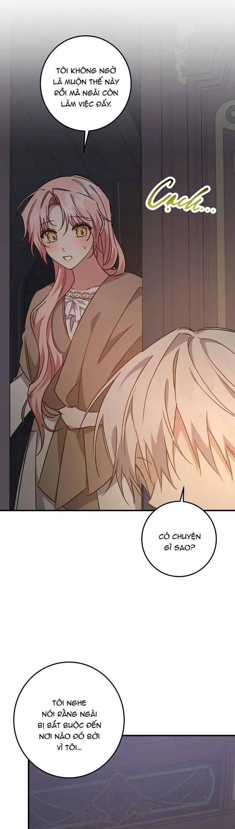 Nhân Vật Phản Diện Được Tôi Nuôi Dưỡng Tốt 29 trang 2
