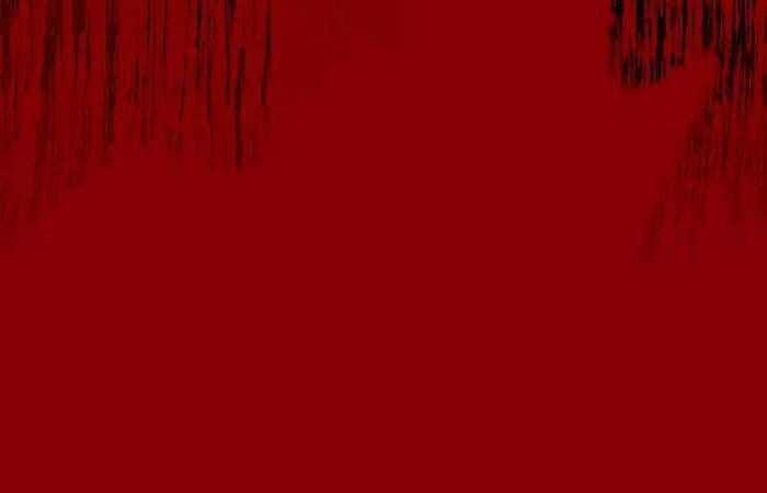 Nhật Hành Nhân 17 trang 161