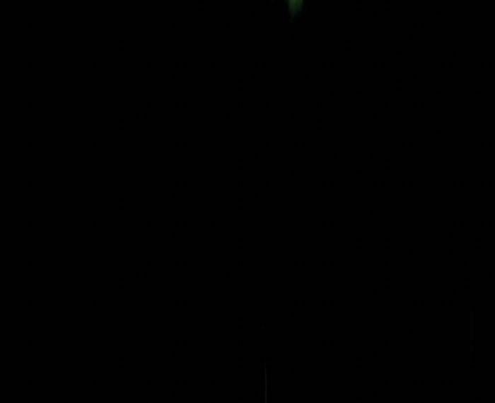 Nhật Hành Nhân 28 trang 224