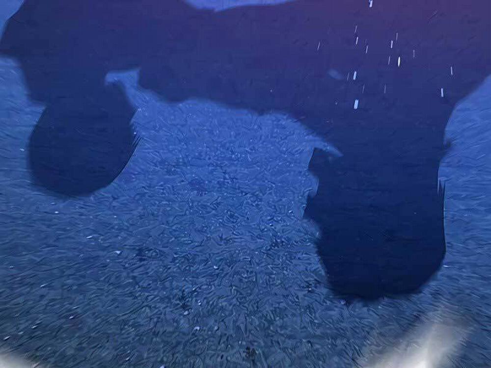 Nhiệm Vụ Đời Thật 42.5 trang 125