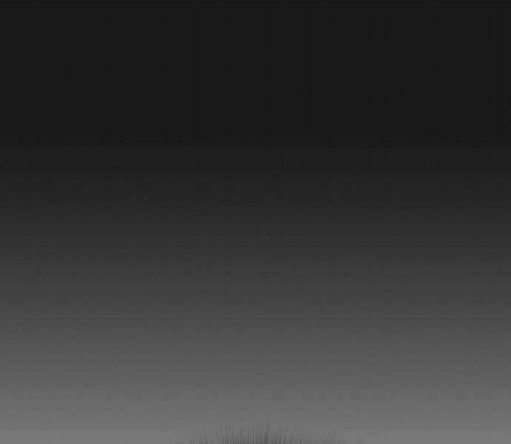 Nhiệm Vụ Đời Thật 45 trang 89