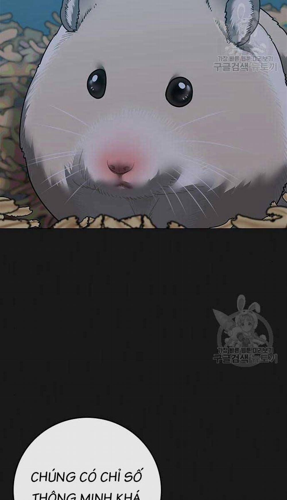 Nhiệm Vụ Đời Thật 84 trang 1