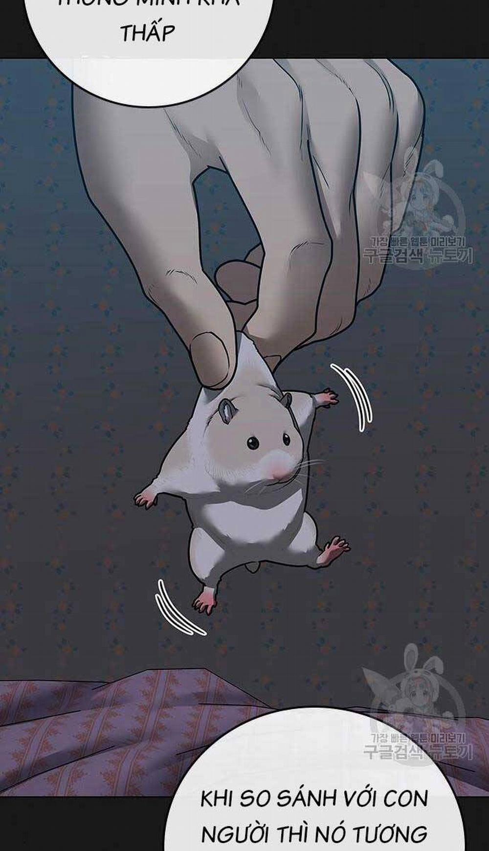 Nhiệm Vụ Đời Thật 84 trang 2