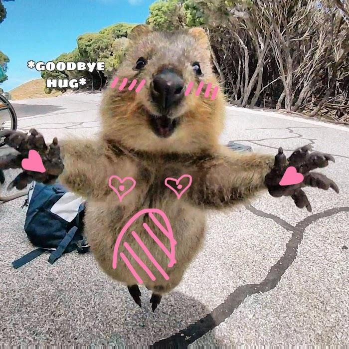 Nhiệm Vụ Tiềm Ẩn (NVTÂ) 16 trang 15