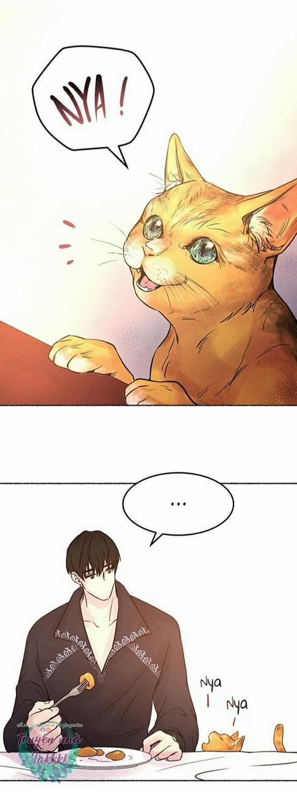 Như Gió Trên Cành Khô 6 trang 42