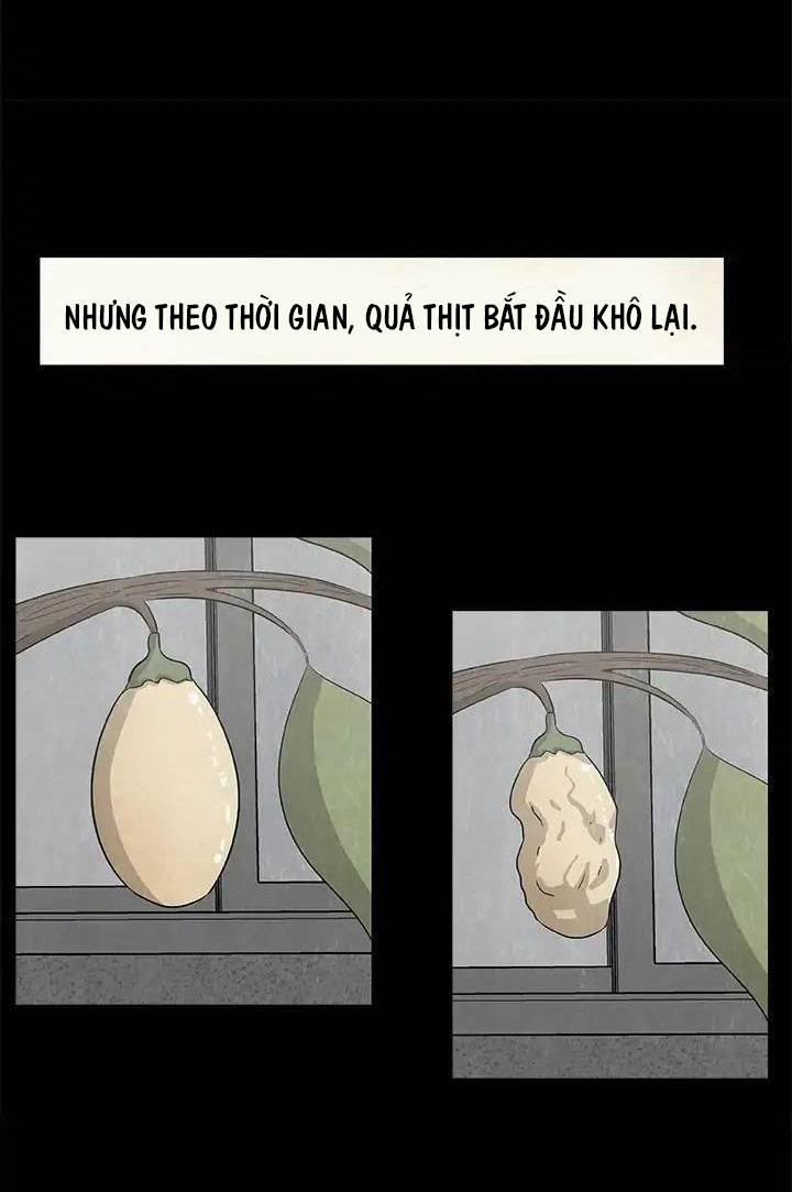 Những Câu Chuyện Kinh Dị Độc Đáo 18 trang 17