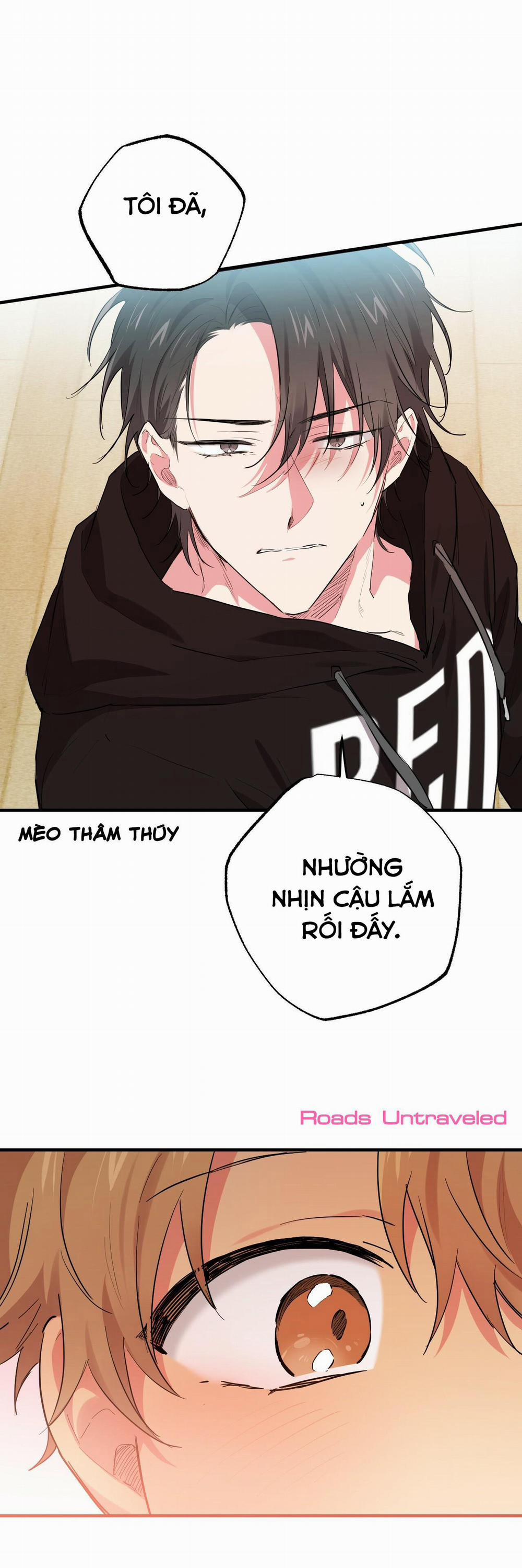 Những Chú Thỏ Của Habibi 10 trang 18