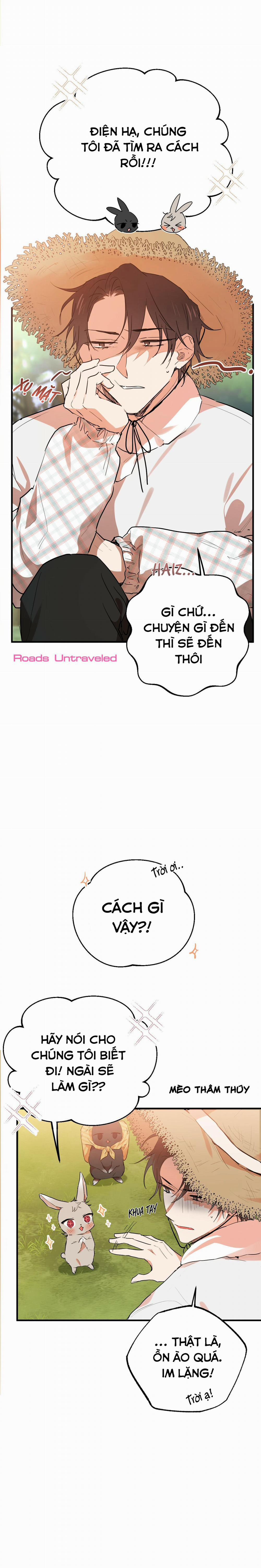 Những Chú Thỏ Của Habibi 10 trang 25