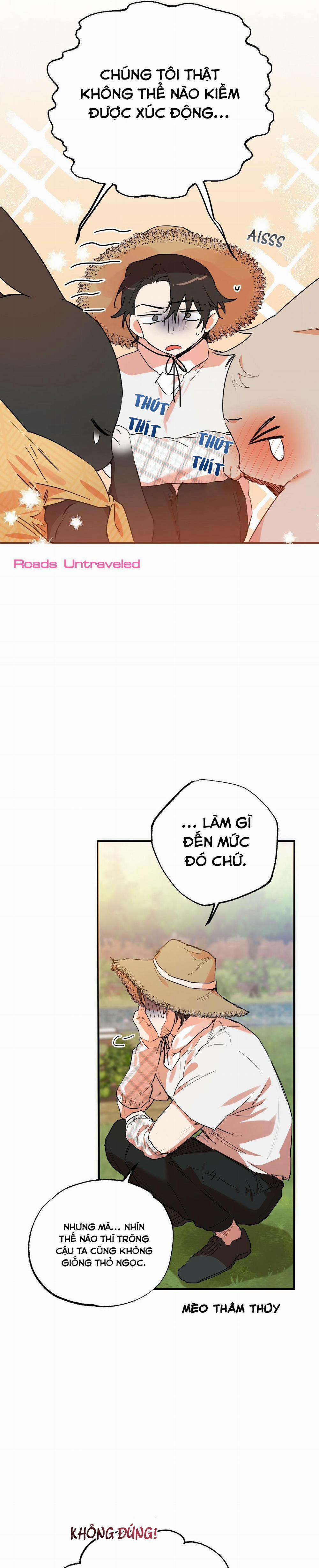 Những Chú Thỏ Của Habibi 10 trang 27