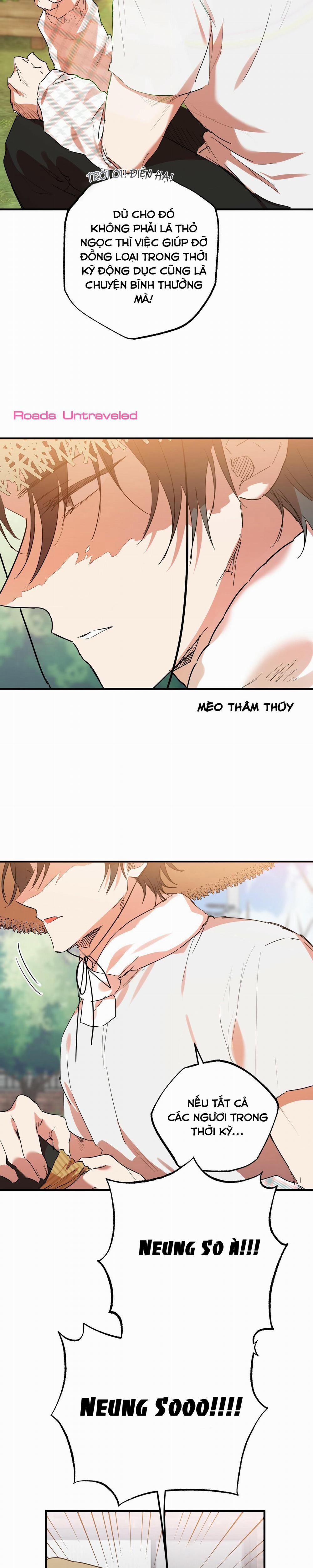 Những Chú Thỏ Của Habibi 10 trang 32
