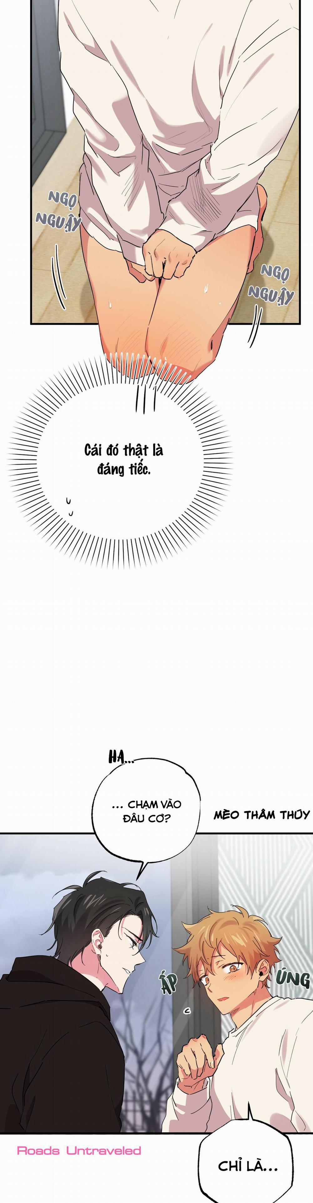 Những Chú Thỏ Của Habibi 10 trang 9