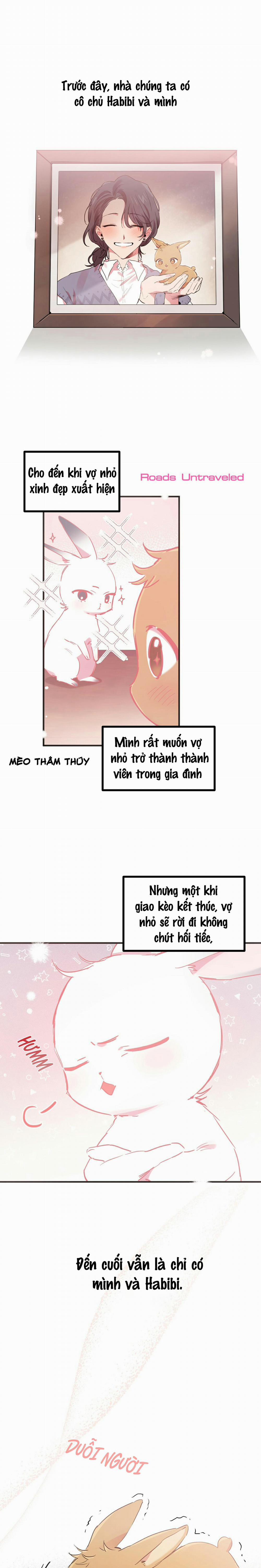 Những Chú Thỏ Của Habibi 11 trang 1