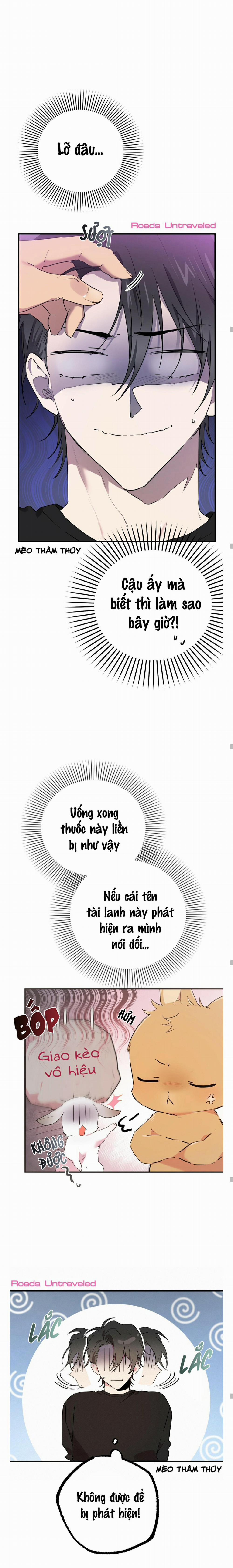 Những Chú Thỏ Của Habibi 13 trang 10
