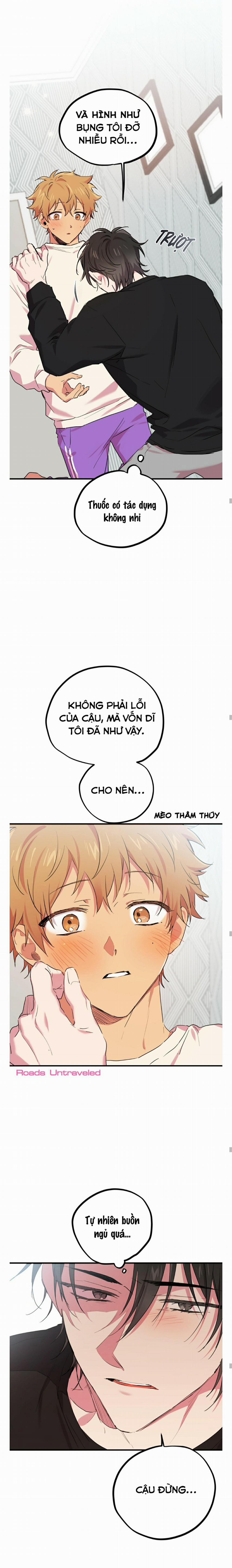 Những Chú Thỏ Của Habibi 13 trang 16