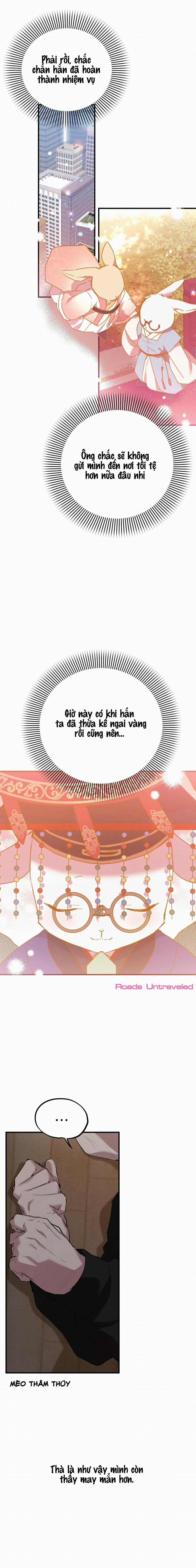 Những Chú Thỏ Của Habibi 14 trang 19