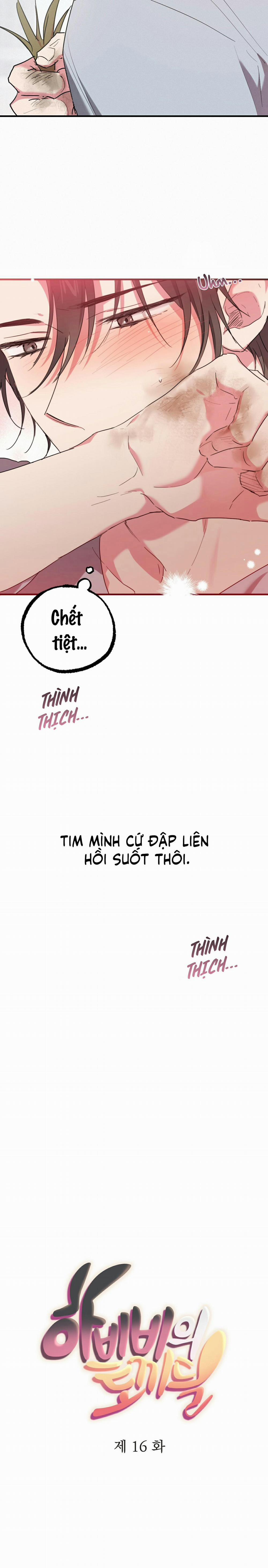Những Chú Thỏ Của Habibi 16 trang 6
