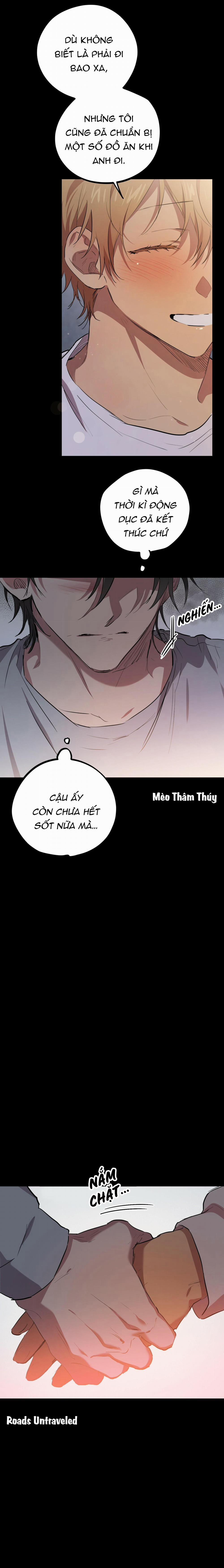 Những Chú Thỏ Của Habibi 19 trang 15