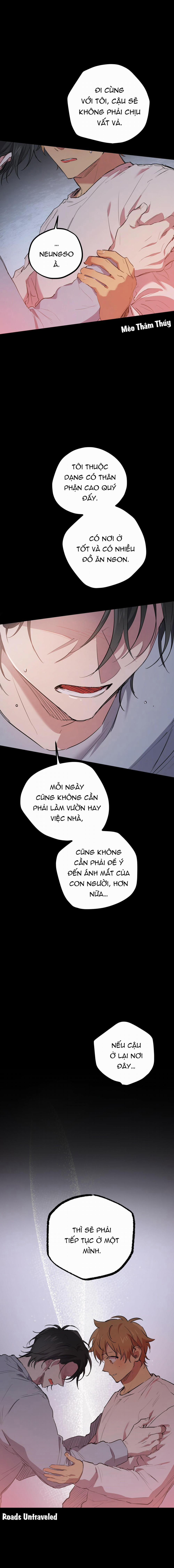 Những Chú Thỏ Của Habibi 19 trang 18