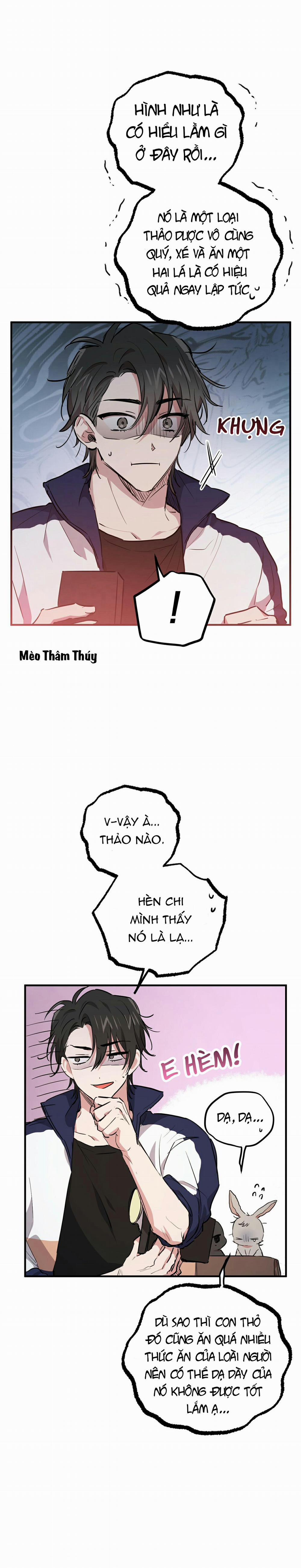 Những Chú Thỏ Của Habibi 20 trang 4