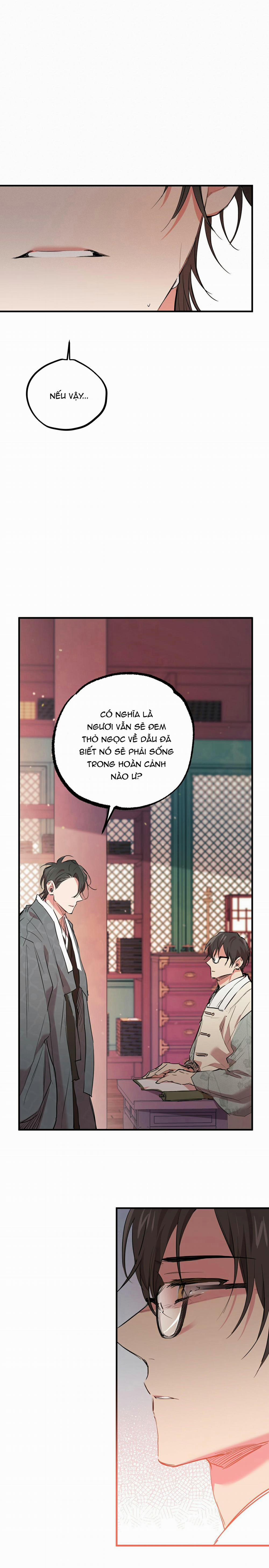 Những Chú Thỏ Của Habibi 21 trang 17