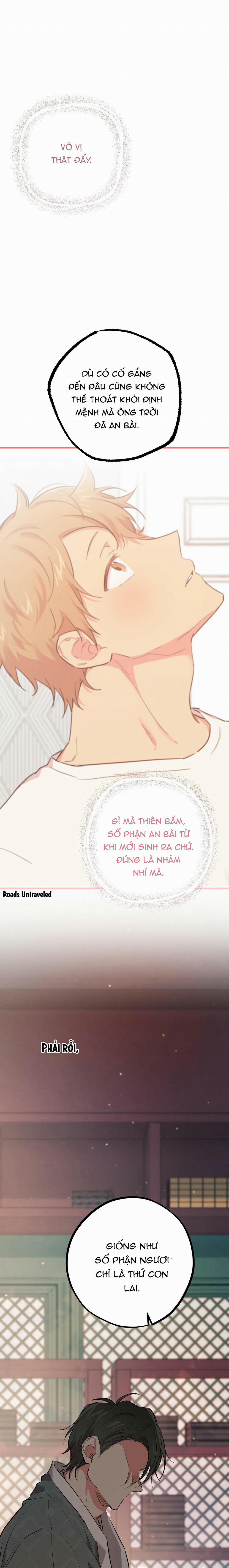 Những Chú Thỏ Của Habibi 21 trang 21