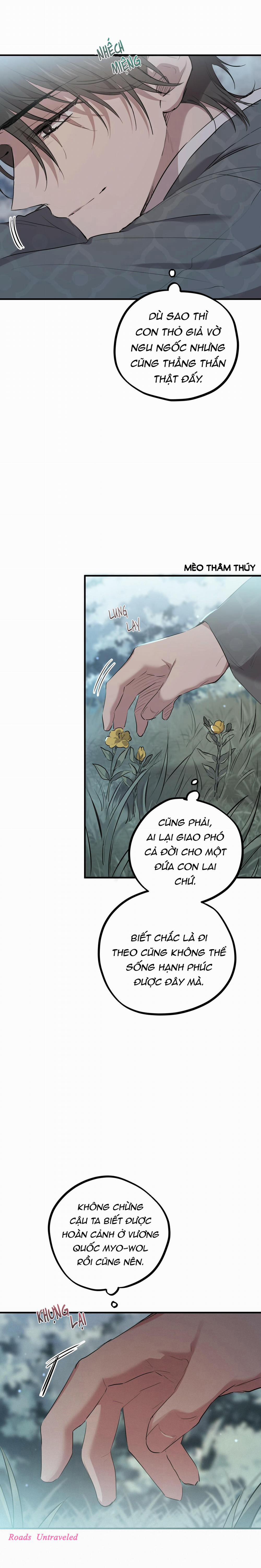 Những Chú Thỏ Của Habibi 22 trang 14