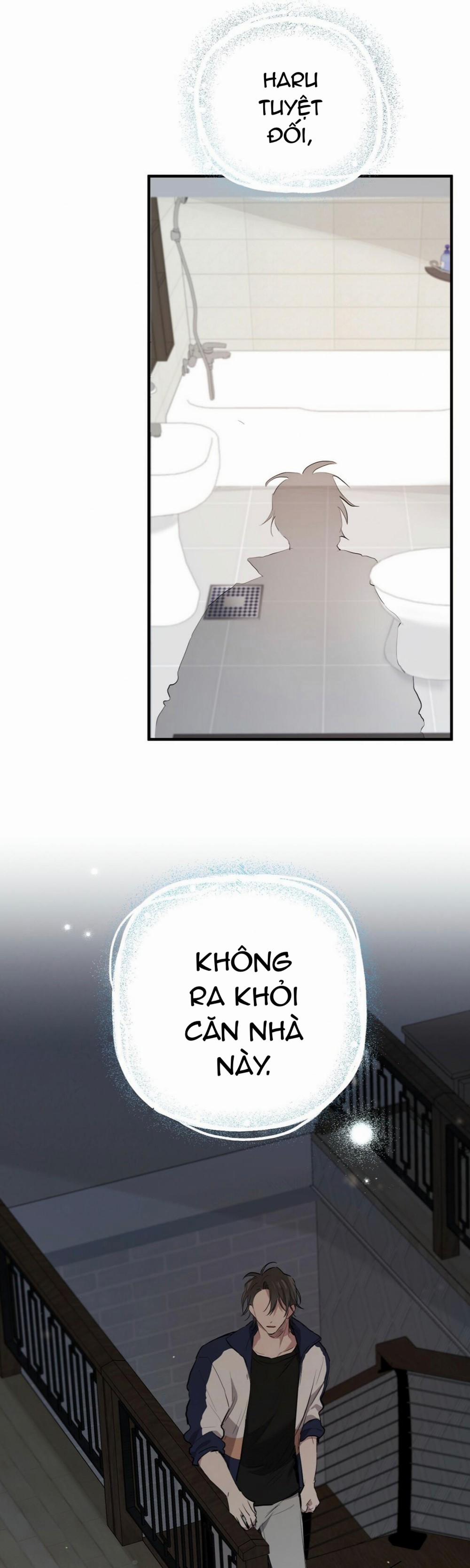 Những Chú Thỏ Của Habibi 23 trang 48