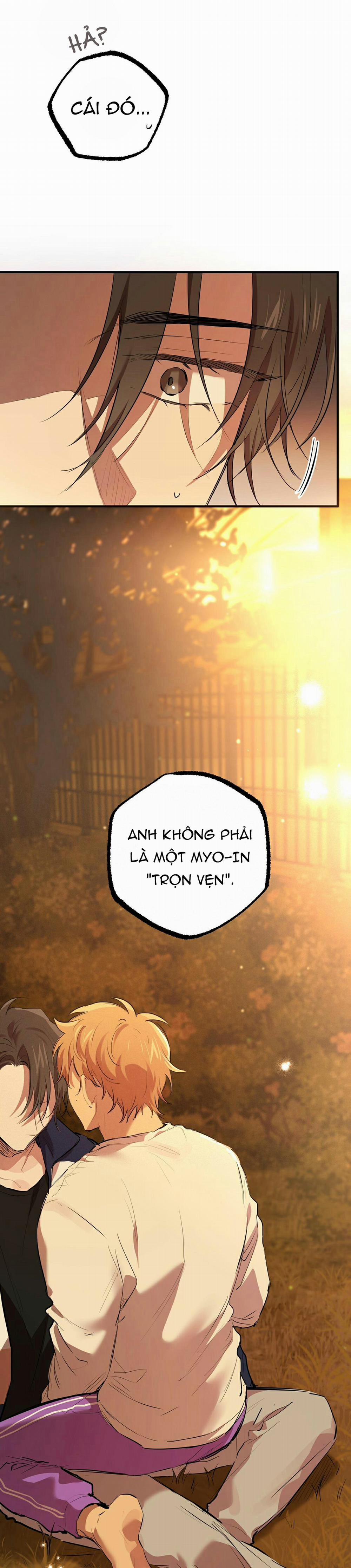 Những Chú Thỏ Của Habibi 24 trang 21