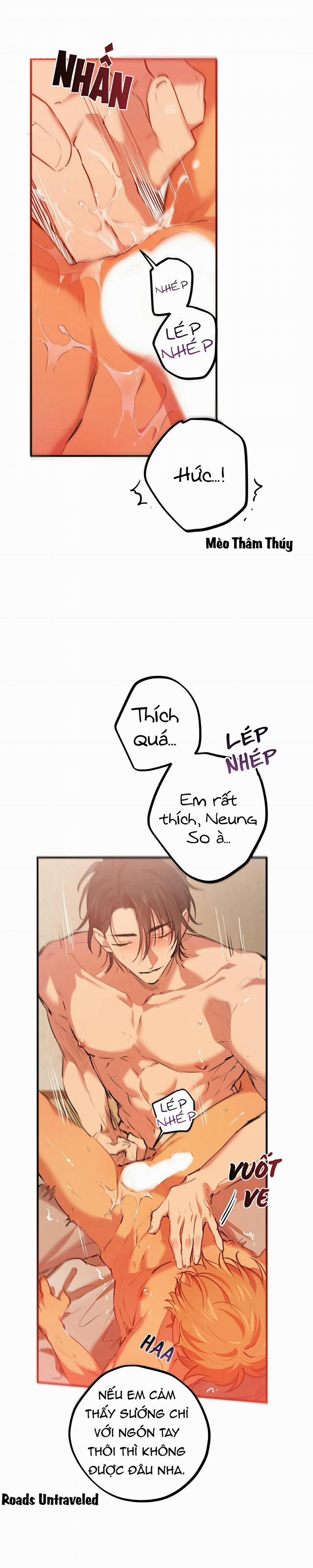 Những Chú Thỏ Của Habibi 25 trang 12