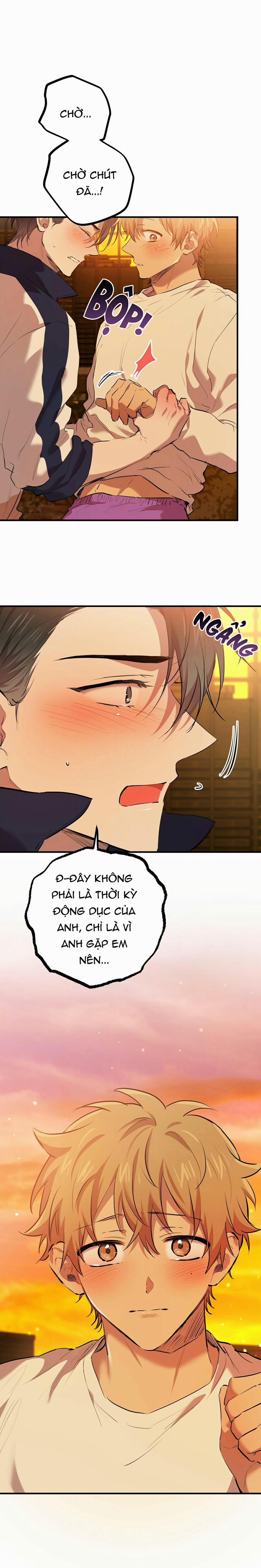 Những Chú Thỏ Của Habibi 25 trang 2