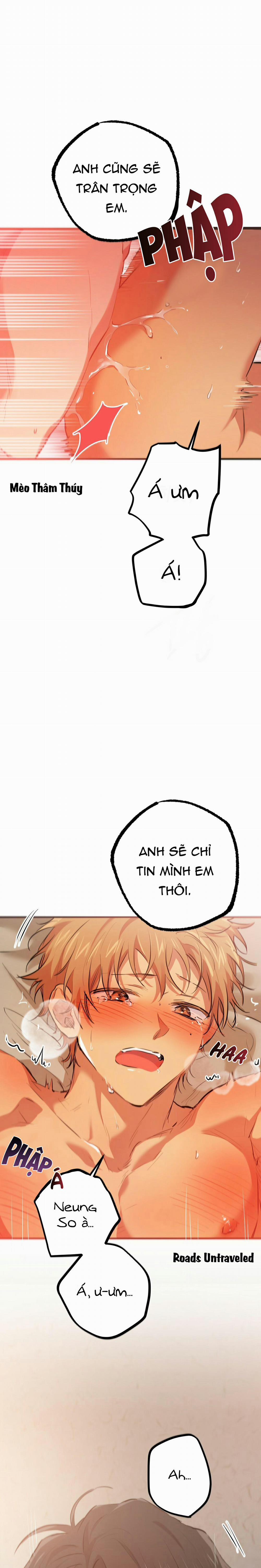 Những Chú Thỏ Của Habibi 25 trang 23