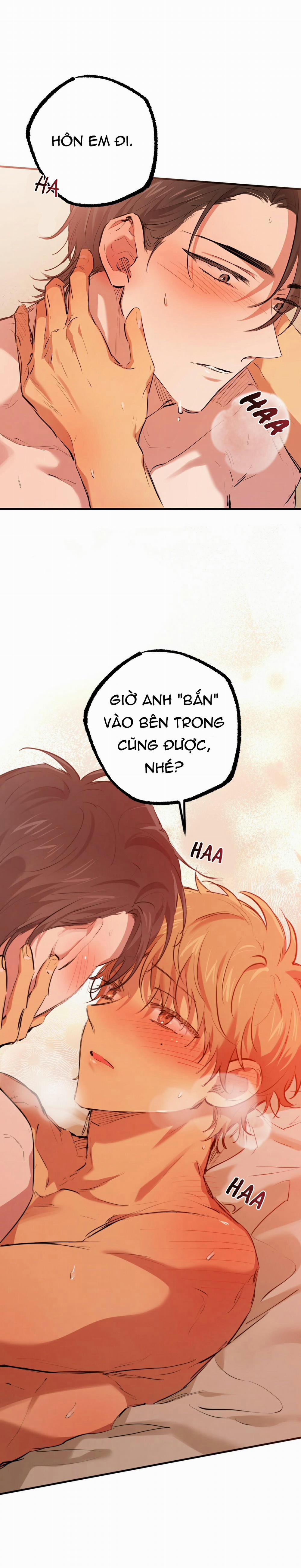 Những Chú Thỏ Của Habibi 25 trang 26