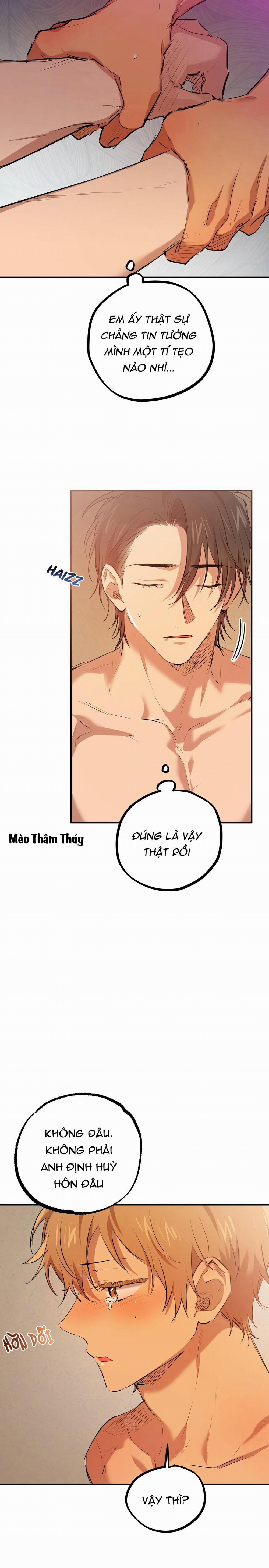 Những Chú Thỏ Của Habibi 26 trang 16