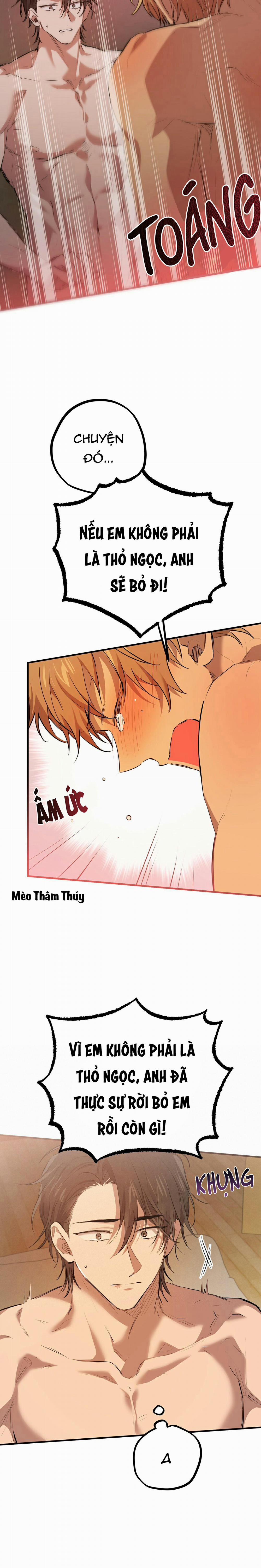 Những Chú Thỏ Của Habibi 26 trang 22