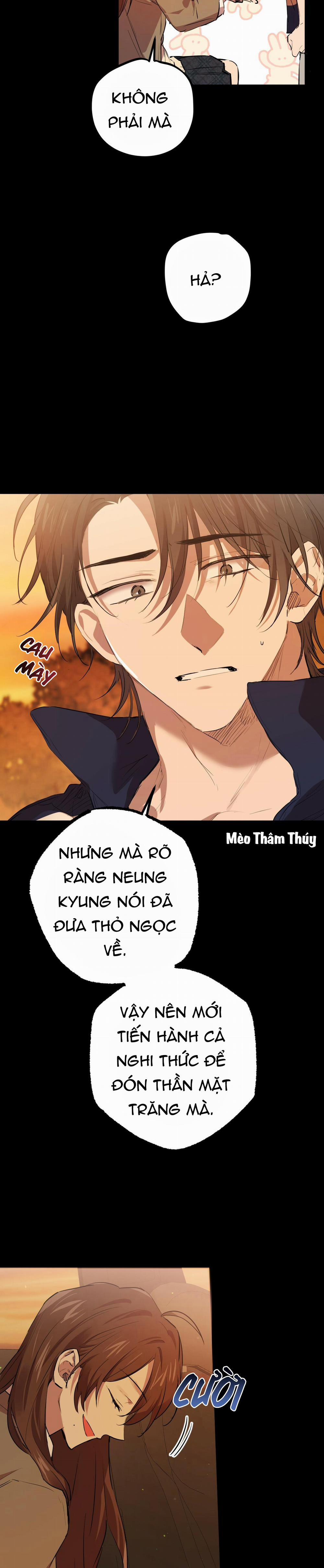 Những Chú Thỏ Của Habibi 26 trang 28