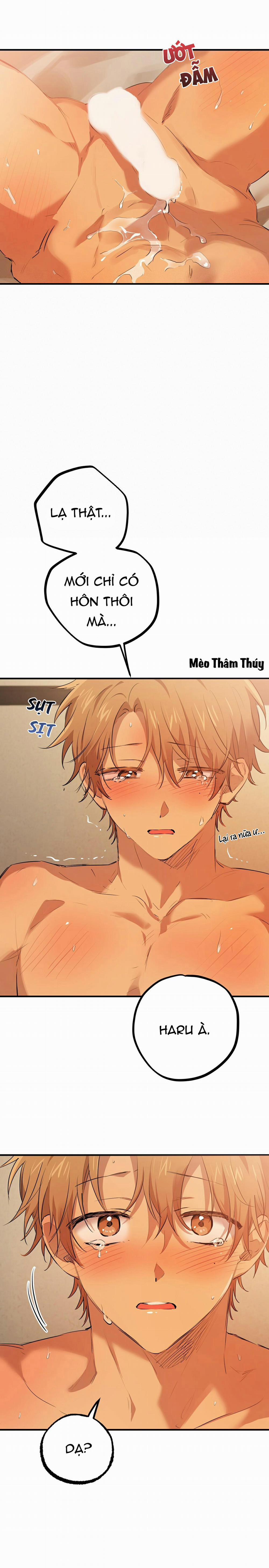 Những Chú Thỏ Của Habibi 26 trang 8