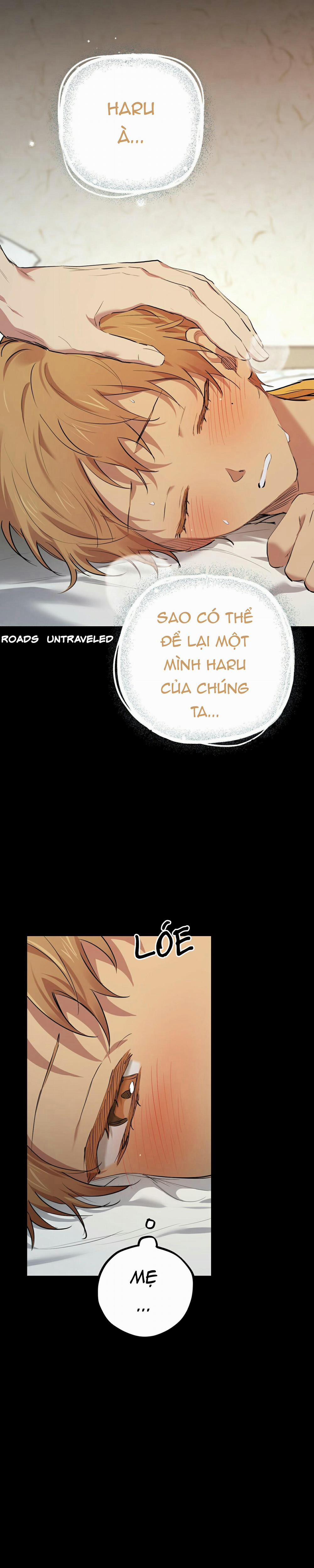 Những Chú Thỏ Của Habibi 28 trang 11