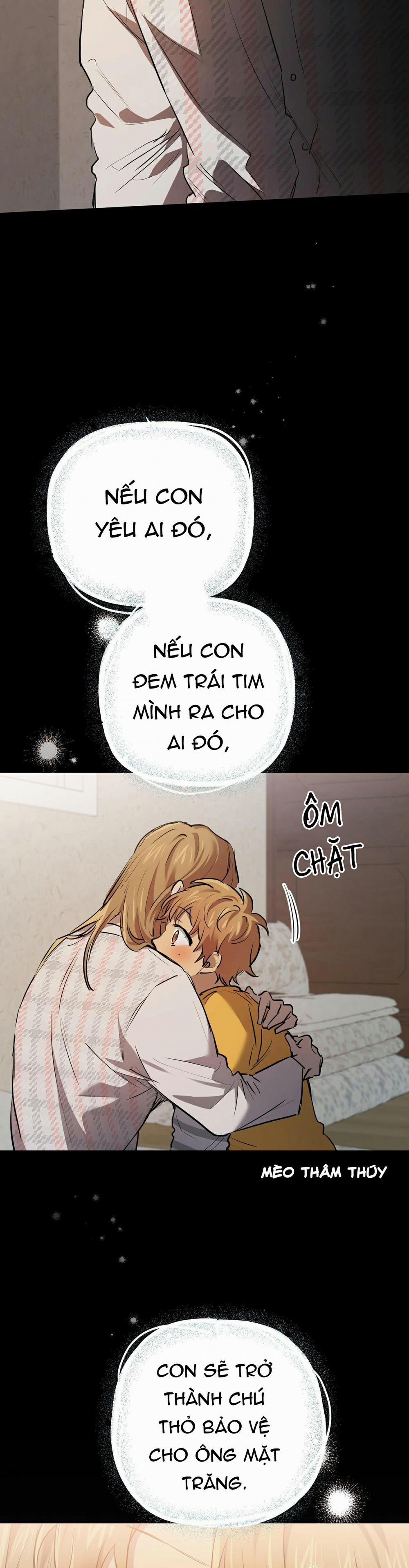 Những Chú Thỏ Của Habibi 29 trang 14