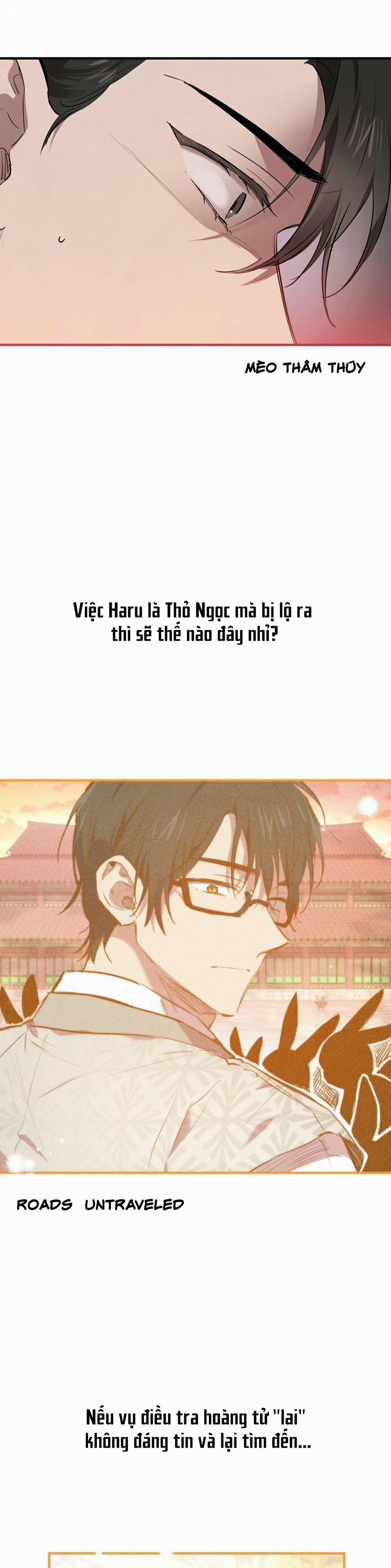 Những Chú Thỏ Của Habibi 29 trang 17