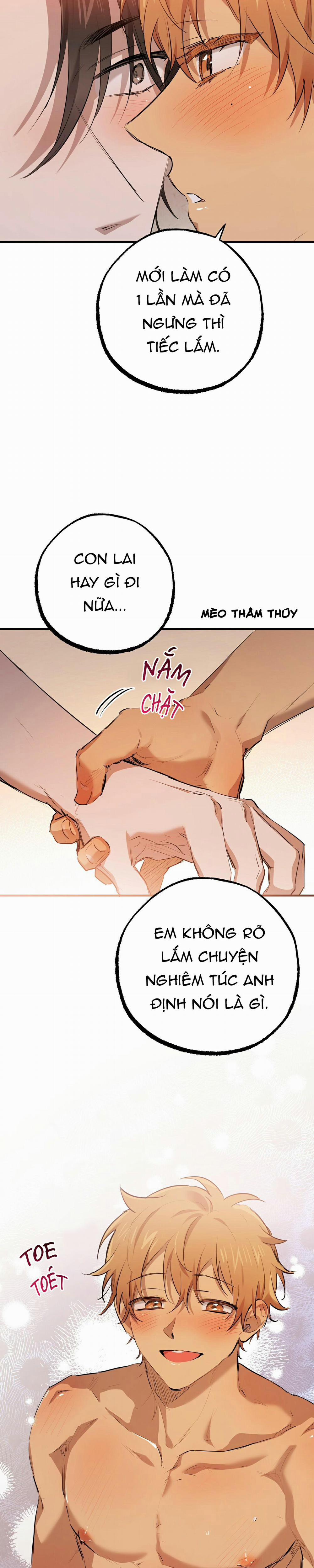 Những Chú Thỏ Của Habibi 29 trang 25